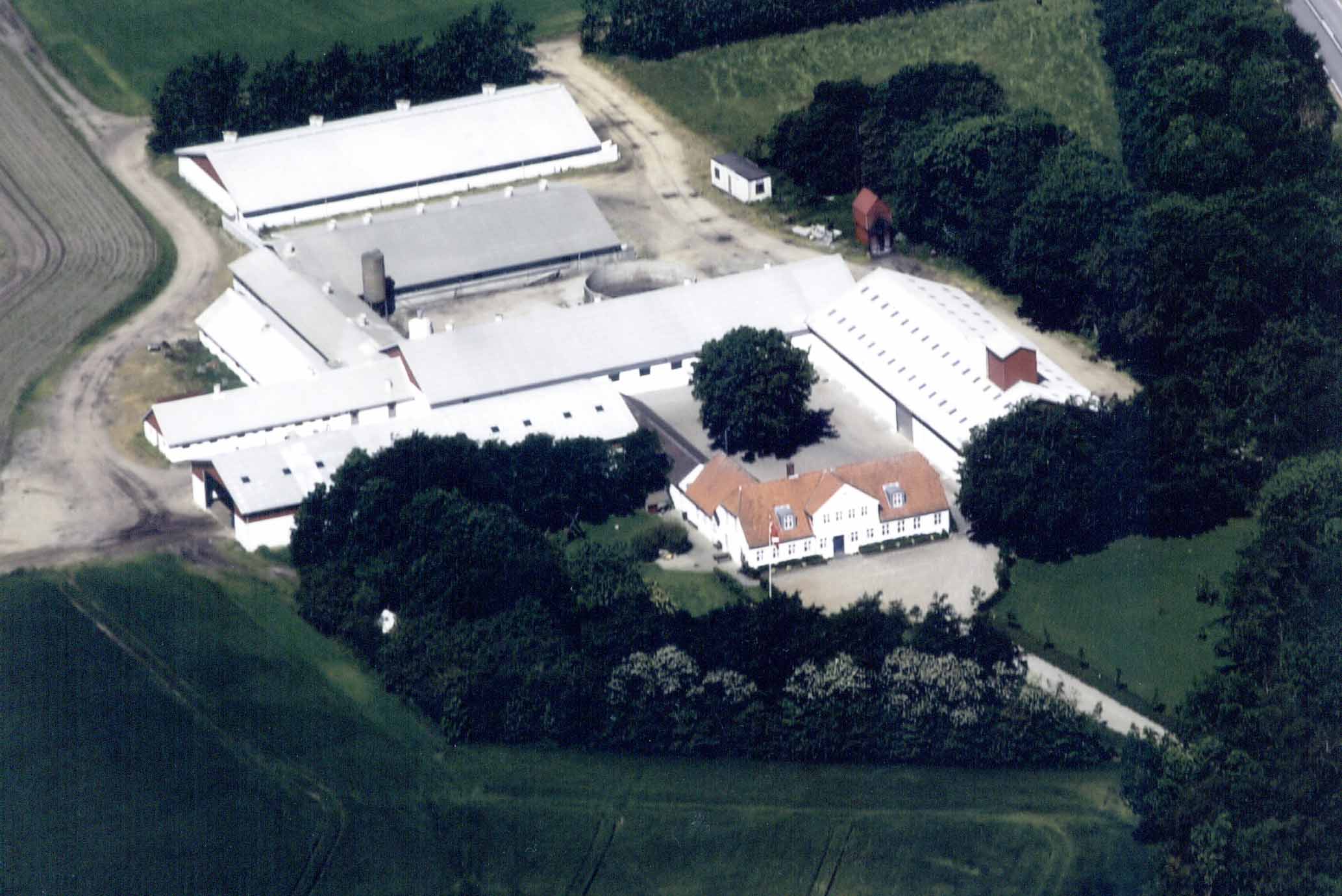 1-ribevej-21-2001