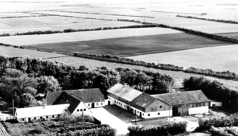 gaardbilleder/12-tirslund-sognevej-7-ca-1955.png