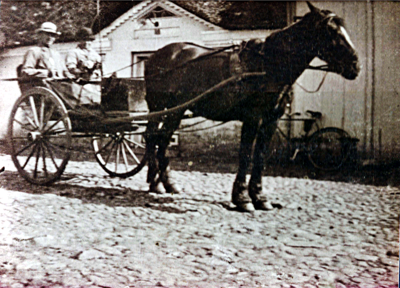 gaardbilleder/31-stenderupgaardvej-9-anne-petersen.png