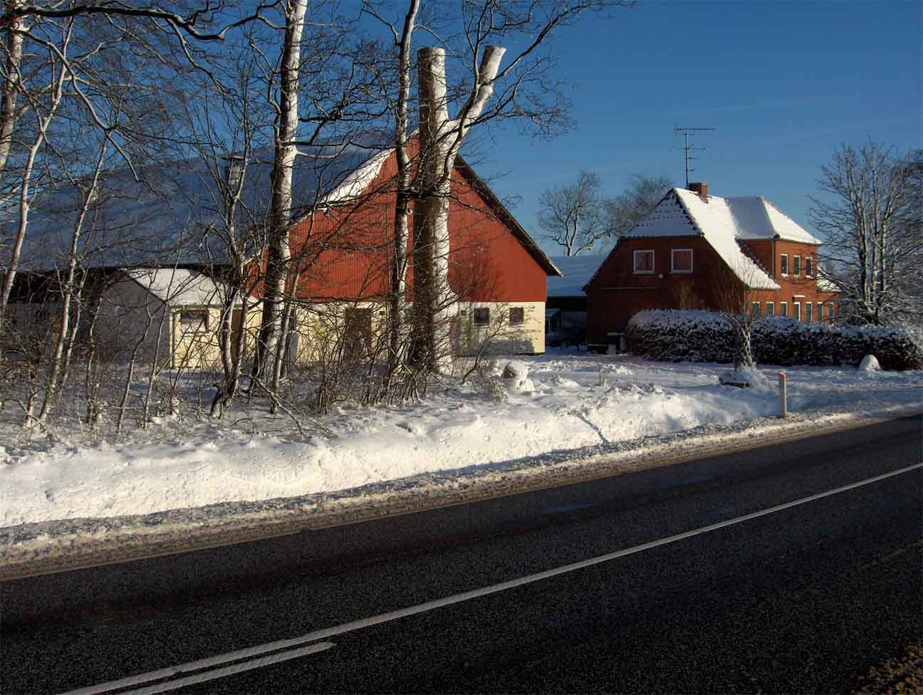 gaardbilleder/5-ribevej-12.jpg