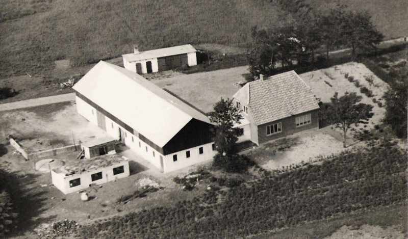 gaarde/51-vestermarksvej-4-ca-1950.png