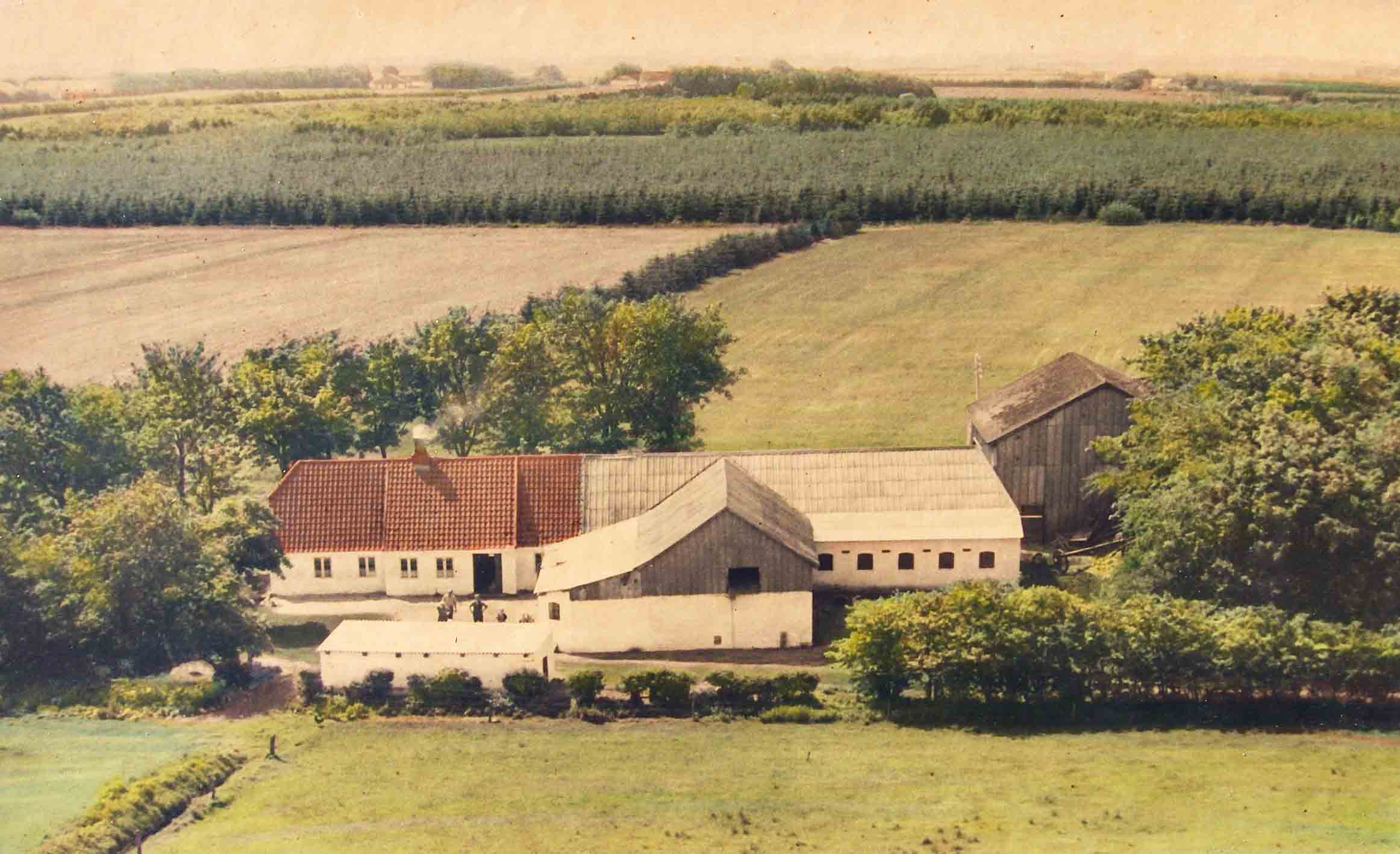 gaardbilleder/7-allerup-nord-8-ca-1958.jpg